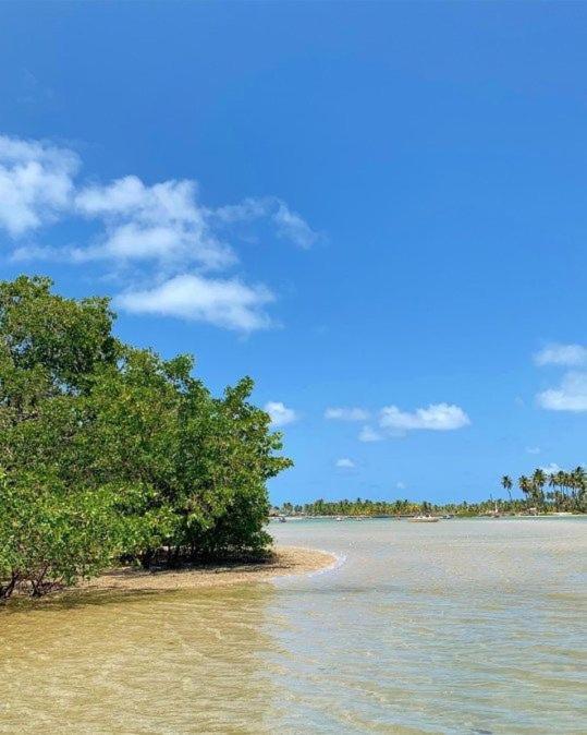 Pôrto das Galinhas Hostel Marevida المظهر الخارجي الصورة